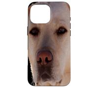 Portrait d'un Chien doré-Labrador Art vectoriel Coque pour iPhone 16 Pro Max