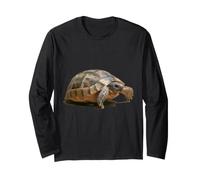 Portrait d'une Jeune Tortue Sauvage isolée Manche Longue