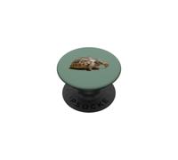 Portrait d'une Jeune Tortue Sauvage isolée PopSockets PopGrip Adhésif