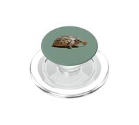 Portrait d'une Jeune Tortue Sauvage isolée PopSockets PopGrip pour MagSafe