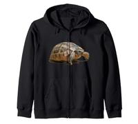Portrait d'une Jeune Tortue Sauvage isolée Sweat à Capuche