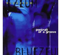 Portrait of a Groove