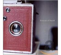 Portrait of David - These Days are Hard to [Import]