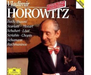 Portrait of Vladimir Horowitz