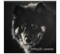 Portraits canins (Calendrier mural carré 2026 30x30 cm) Calendrier double avec une page pour vos prises de notes: 12 races de chiens représentées en 12 portraits.