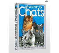 Portraits de chats