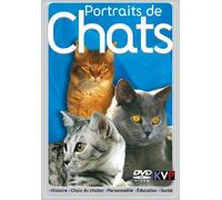 Portraits de chats