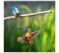 Portraits d'oiseaux des beautés plumeuses (Calendrier mural carré 2026 30x30 cm) Calendrier double avec une page pour vos prises de notes: Découvrez ... à travers des photographies captivantes