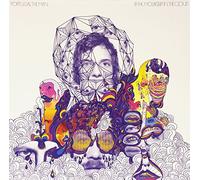 Portugal, the Man - Mountain in The Cloud [Import]