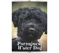 Portuguese Water Dog: Dog Breed Overview And Guide