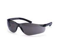Portwest PW38 Lunette Pan View Noir