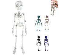 Poseable Skeleton Fridge Magnet, 3D Printed Articulated Skeleton, Mini Magnetic Skeleton with Movable Joints, Interesting Multi-Color Human Skull Magnetic Decorations for Halloween