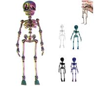 Poseable Skeleton Fridge Magnet, 3D Printed Articulated Skeleton, Mini Magnetic Skeleton with Movable Joints, Interesting Multi-Color Human Skull Magnetic Decorations for Halloween