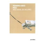 Poses Abu Ghraib, dix ans après - Pierandrea Amato - Post-Editions - broché - Essai
