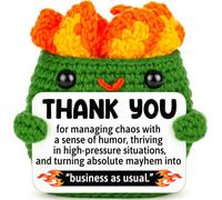 Positive Crochet Dumpster Raging Fire Chaos Coordinateur Gift Manager Boss | Cadeau amusant pour coordonnateur du chaos pour homme et femme - Appréciation des employés - Décoration de bureau amusante