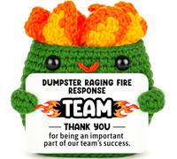 Positive Crochet Dumpster Raging Fire Team Appréciation Cadeau pour | Cadeaux de reconnaissance d'équipe pour collègues de travail, projet de reconnaissance des employés, étape importante