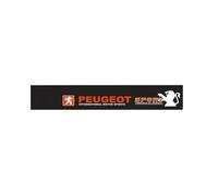 POSLAB Autocollant Pare-Brise, pour Peugeot 308 4008 408 5008 508 607 RCZ Fenêtre Arrière Avant Pare-Brise Couverture D'autocollant Réfléchissant, AutoDécoration,B
