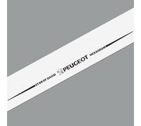 POSLAB Autocollant Pare-Brise, pour Peugeot GT GTI GTLINE 206 208 307 308 2008 Fenêtre Arrière Avant Pare-Brise Couverture D'autocollant Réfléchissant, AutoDécoration,A