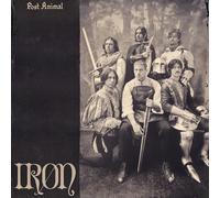 Post Animal – Iron – Vinyle ivoire LP + téléchargement – Pochette gatefold