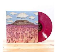 Post Animal – When I Think of You in a Castle – Vinyle LP coloré 180 g + téléchargement