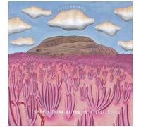 Post Animal – When I Think of You in a Castle – CD
