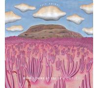 Post Animal - When I Think of You in A Castle