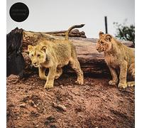 Post-Everything/Vinyle Orange Transparent