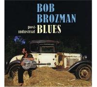 Brozman, Bob - Post-Industrial Blues