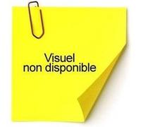 Post-it - Sachet de 3 blocs de 100 feuilles 38x51mm Néon assorti G