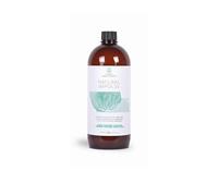 Post Light Irridiance Shampooing naturel à l'aloe vera pour cheveux colorés ou méchés 1000 ml 1 l