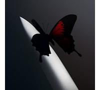 Post Malone – Twelve Carat Toothache – Cassette – Import