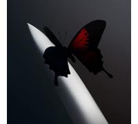 Post Malone – Twelve Carat Toothache – Cassette – Import