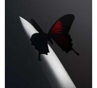 Post Malone – Twelve Carat Toothache – CD – Explicit