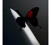 Post Malone – Twelve Carat Toothache – Vinyle jaune citron (Indies) – Mercury