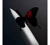 Twelve Carat Toothache-Opaque Silver Vinyl [Import]