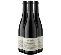 Post Scriptum - Rouge 2023 - Domaine du Clos des Fées - Côtes Catalanes - Vin Rouge du Languedoc - Roussillon (3x75cl)