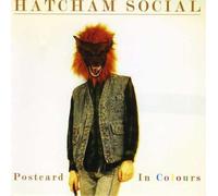 Postcard In Colours