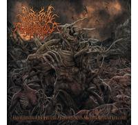 Postcoital Ulceration - Continuation of Defective Existence After Multiple