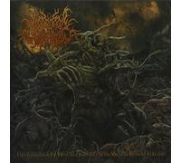 Postcoital Ulceration - Continuation Of Defective Existence After Multiple Ruinous Collapses