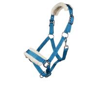 Posten 11796 Licol Turquoise pur-sang