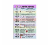 poster 12 Cranial Nerves Anatomy Poster, Nursing Study Guide & Reference Chart, Medical School Wall Art for Student, Nurse Office, Home Study Decor(Unframed,08x12inch(20x30cm))