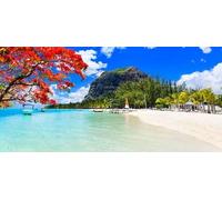 Poster 150 x 70 cm : meilleure destination tropicale - Île paradisiaque Maurice et meilleure plage du Morne (147122618)