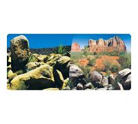 Poster 2 faces 1 rouleau de 15 mètres hauteur 50 cm Reptiles Planet Desert Terrarium Multicolore 15 m