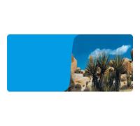 Poster 2 faces 1 rouleau de 15 mètres Reptiles Planet Desert/Bleu Terrarium Bleu 15 m