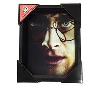 Póster 3D - Harry Potter - Harry/Voldemort - Multicolore - Contemporain - Rectangulaire