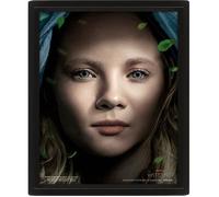 Pyramid International Affiche lenticulaire 3D The Witcher Intertwined cadre boîte 25×20×1,3 cm