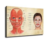 poster Abstract Face Anatomy Art - Modern Canvas Print of Human Biology, Scientific Wall Decor for Living Room, Office, or Medical Aesthetics Studio(Framed,16x24inch(40x60cm))