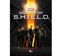 Poster Agents Of Shield 28 cm x 43 cm #a219