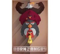 Poster Angry Birds Born to be 91,5 cm x 61 cm G
