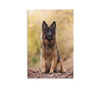 Poster animal, berger allemand, peinture décorative sur toile, impression d'art moderne, décoration de chambre à coucher, 30 x 45 cm